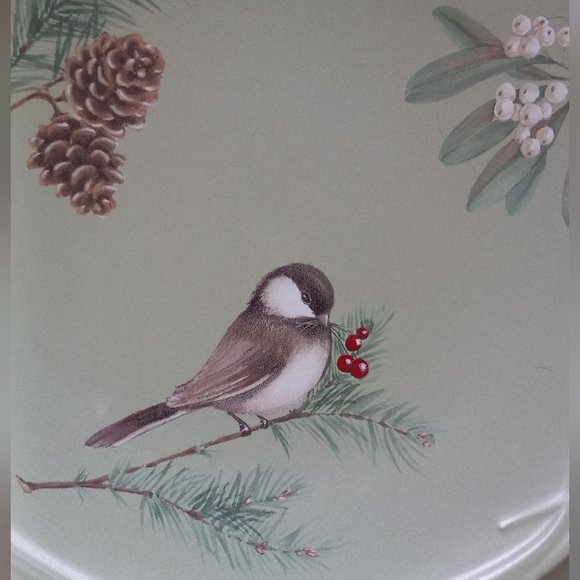 PORTFOLIO PFALTZGRAFF"Winterwood"4 salad/dessert plates and 1 cake/dinner plate - Picture 2 of 4